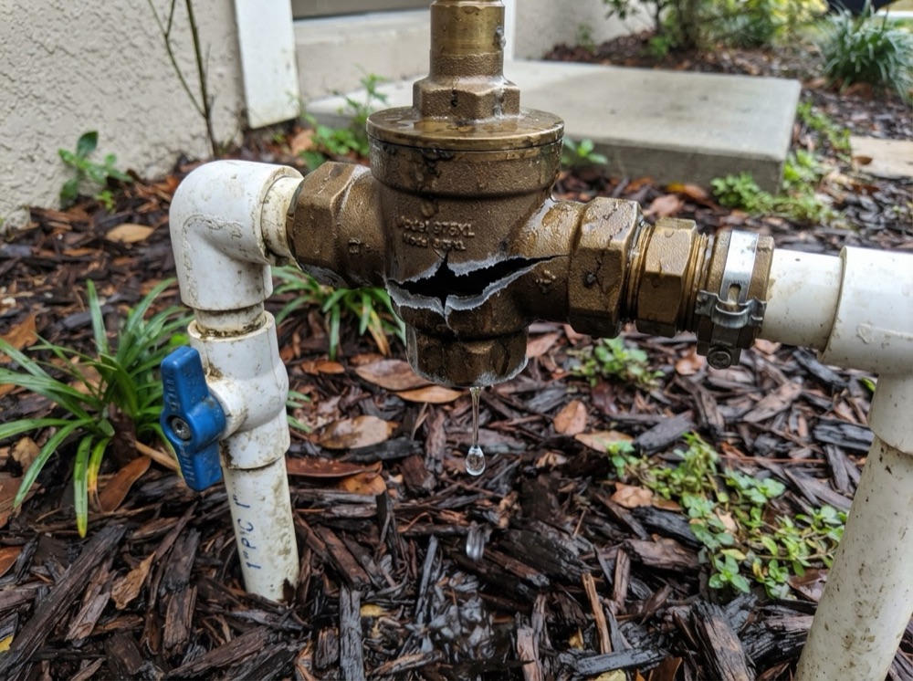 Freeze-cracked backflow body (illustrative image)